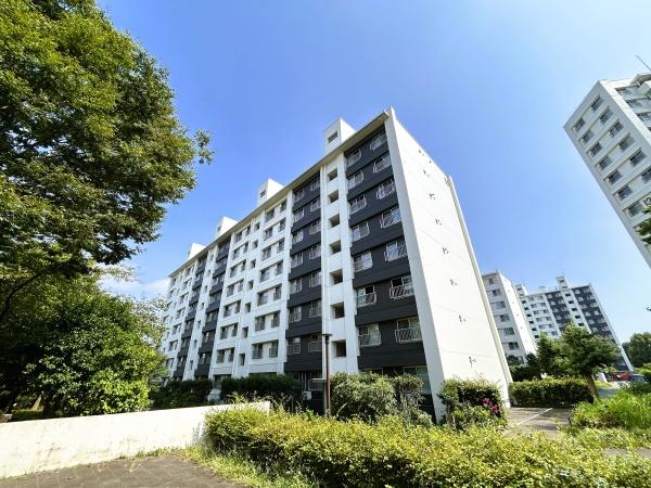 県ドリームハイツ１１号棟