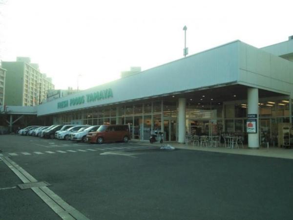 県ドリームハイツ17号棟(たまや深谷店)