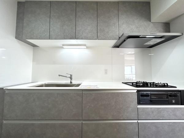 鎌倉ロジュマンD