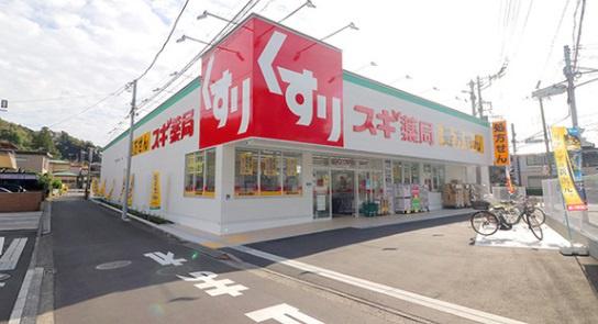 第２大船パークダウンD棟(スギ薬局飯島町店)