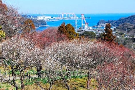 横須賀市田浦町２丁目　新築一戸建全２棟１号棟(田浦緑地)