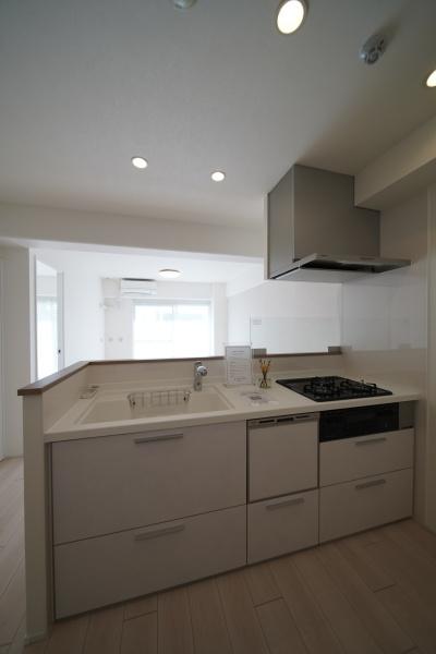 メゾンドール緑橋(キッチン)