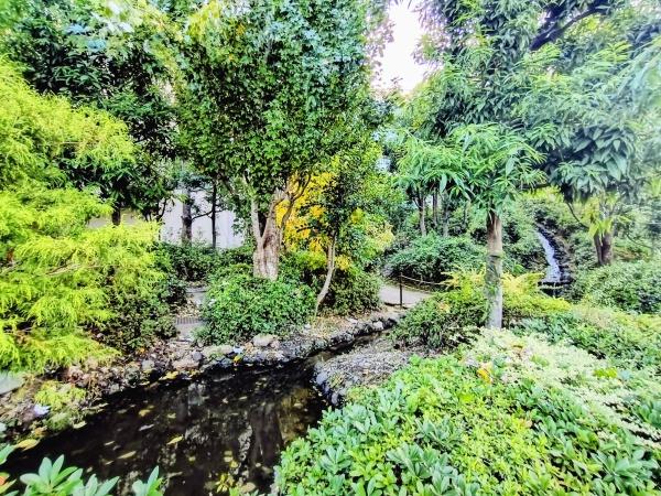 リバーガーデン森の城