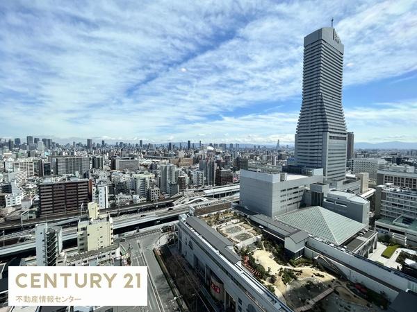 ザ・ファインタワーウエストコースト(現地からの眺望)