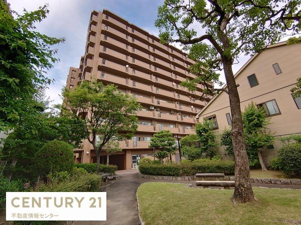 ノバカネイチ大正