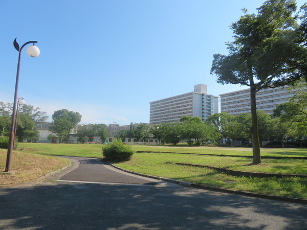 エバーグリーンポートタウン11号棟B棟(南港近隣2号公園)