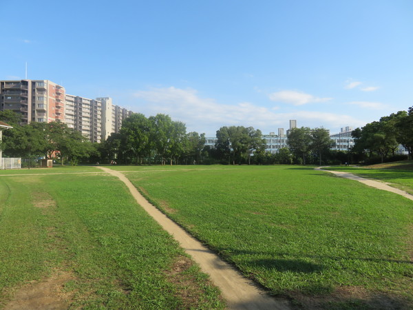 近鉄南港ガーデンハイツ21号棟(南港近隣1号公園)