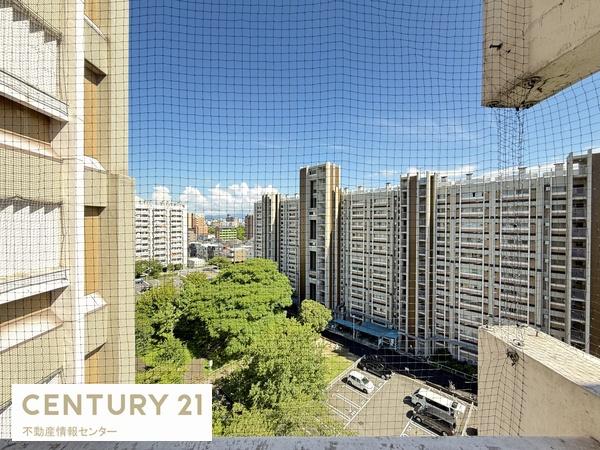 住吉第２団地　１０号棟