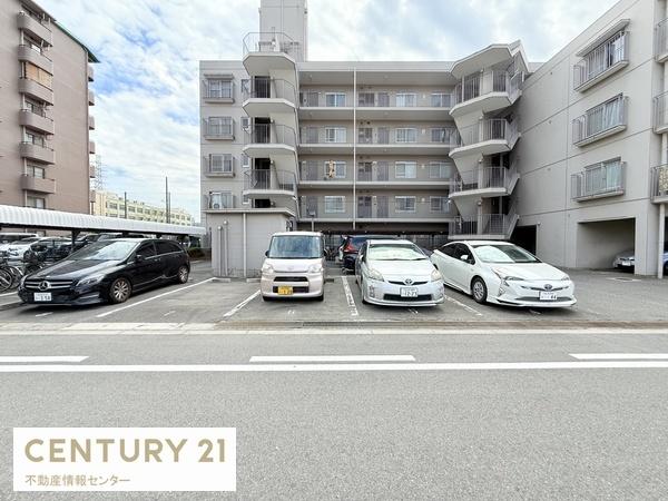 エバーグリーン住之江