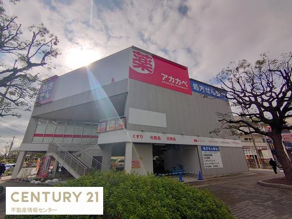 ドムール南恩加島(ドラッグアカカベ大正千島店)