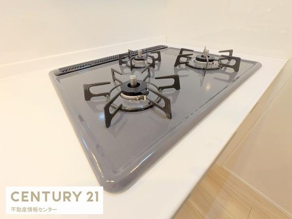 ドムール南恩加島