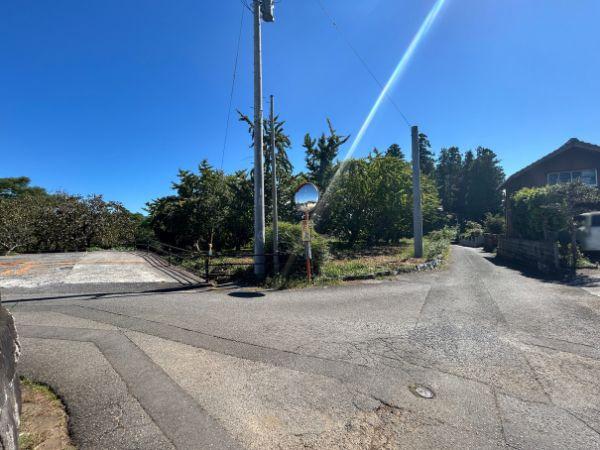 臼杵稲田　土地
