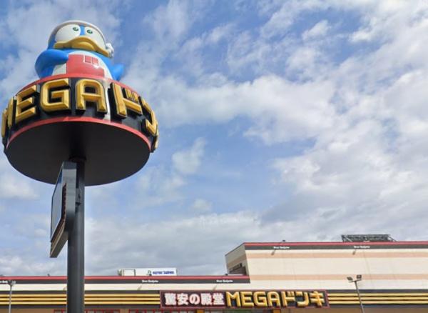クレアネクスト古国府ザ・タワー(MEGAドン・キホーテ大分光吉インター店)