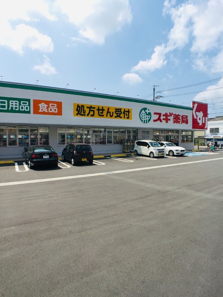 いろどりアイタウン 岐阜市塩町1丁目 4号棟(スギ薬局鶴田店)
