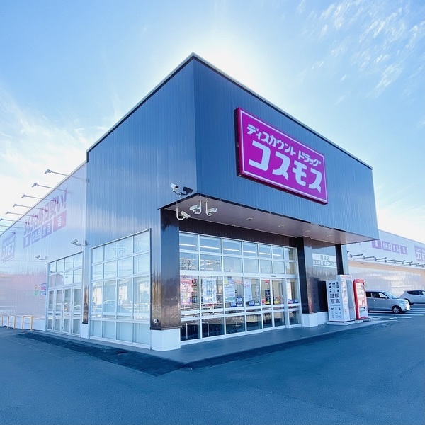 Terrechez 瑞穂市只越1期 2号棟(ディスカウントドラッグコスモス穂積店)