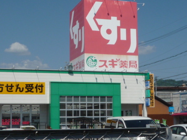 Terrechez岐阜市美島町1期 1号棟(スギ薬局忠節店)