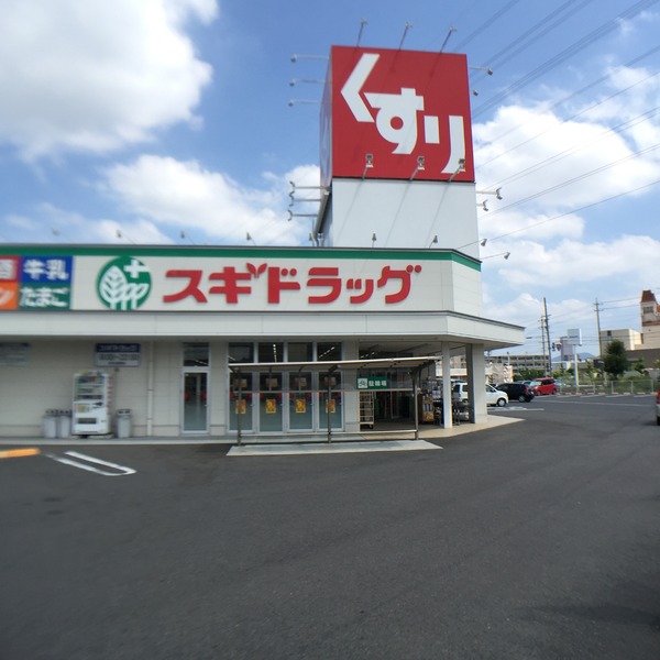クレイドルガーデン岐阜市六条南 第1 3号棟(スギドラッグ岐阜六条店)