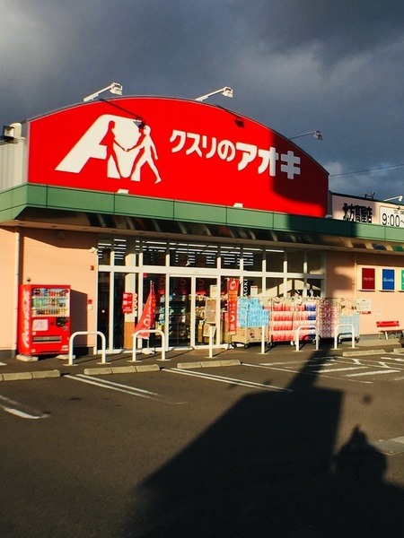 クレイドルガーデン　岐阜市河渡第1　4号棟(クスリのアオキ北方高屋店)