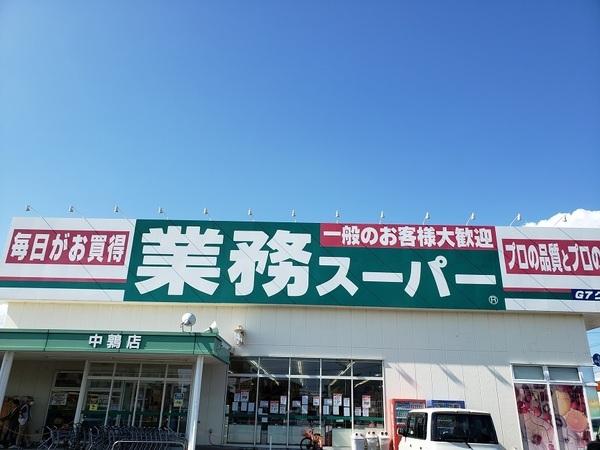 リーブルガーデン　岐阜市西鶉　2号棟(業務スーパー中鶉店)
