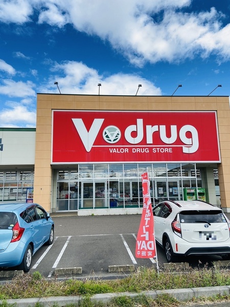 リーブルガーデン　岐阜市第2手力町　1号棟(V・drug岐南店)