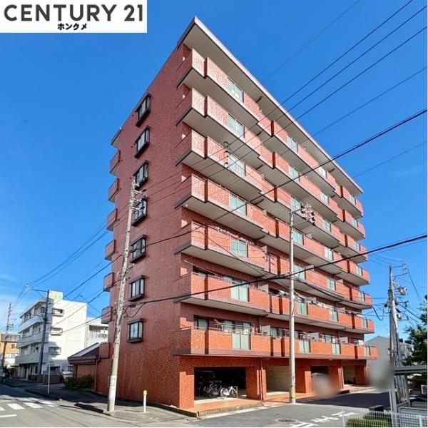 セザール第二細畑