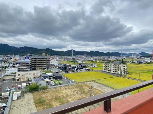 セザール第二細畑