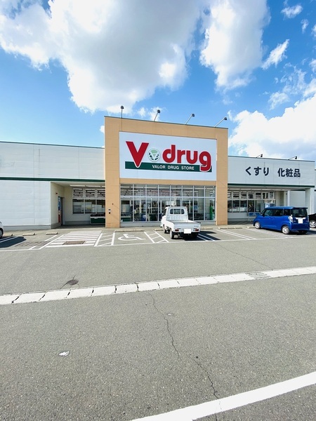 瑞穂市古橋の中古一戸建て(V・drug穂積西店)