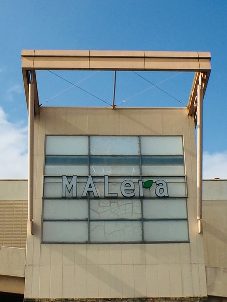 本巣市仏生寺の中古一戸建て(バローモレラ店)