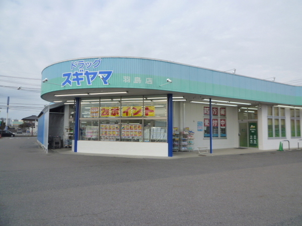 リーブルガーデン　羽島市正木町新井第2　1号棟(ドラッグスギヤマ羽島店)