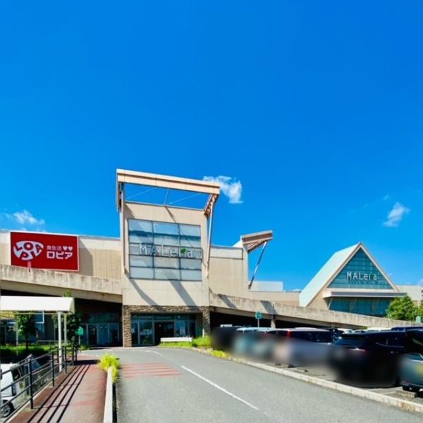 リーブルガーデン本巣市三橋　1号棟(ロピアモレラ岐阜店)