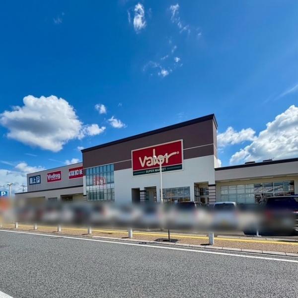 リーブルガーデン　岐阜市下奈良二丁目　1号棟(バロー市橋店)