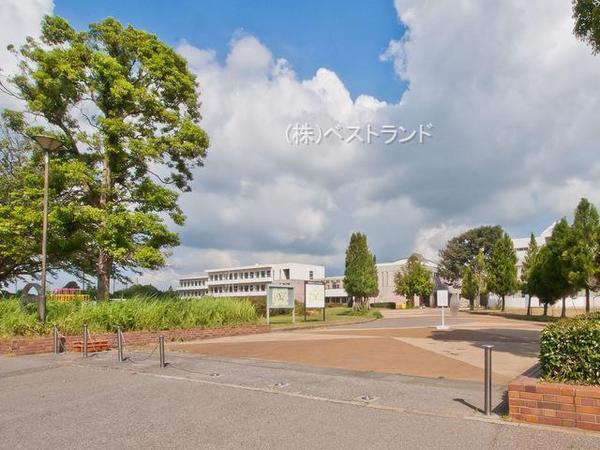 白井市桜台4丁目の中古一戸建て(白井市立桜台小学校)