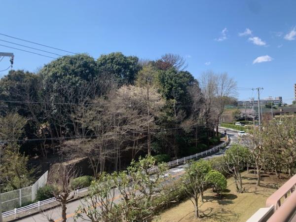 芝山団地