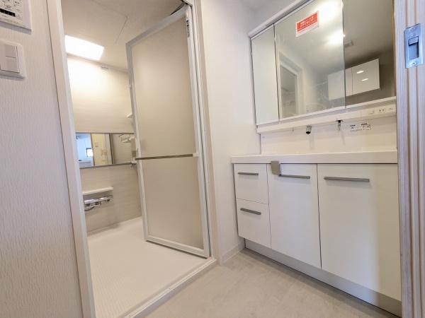 フラージュ八千代(洗面台・洗面所)