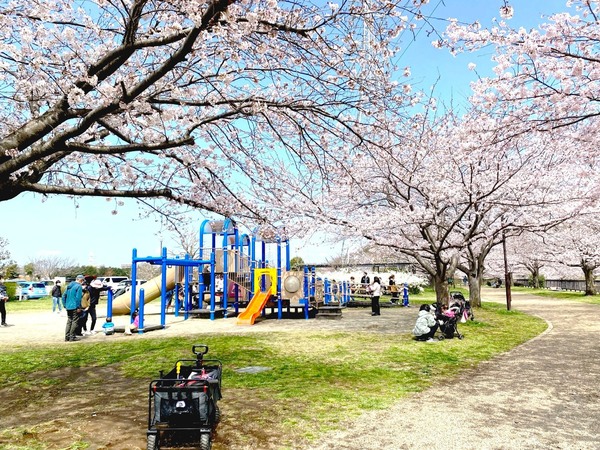 藤沢市石川の土地(引地川親水公園)