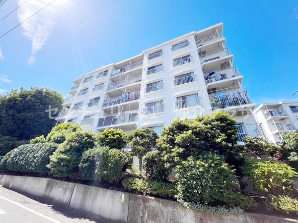 藤沢善行ニューライフＢ棟