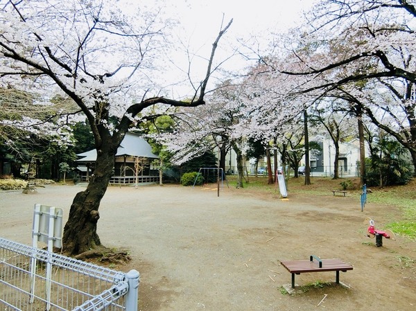 藤沢市葛原新築戸建B号棟(葛原公園)