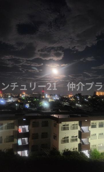 ニューハイツ藤沢