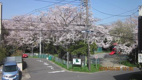 鎌倉市玉縄５丁目の土地
