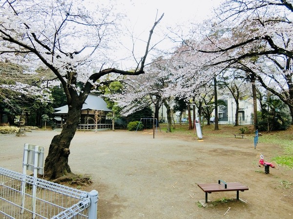 藤沢市遠藤の土地(葛原公園)