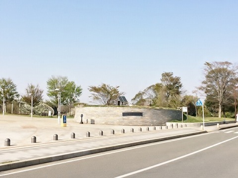 藤沢市打戻の土地(里山公園)