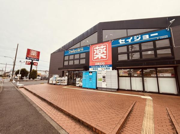 大和市渋谷3丁目新築戸建全1棟(ココカラファインセイジョー大和渋谷店)