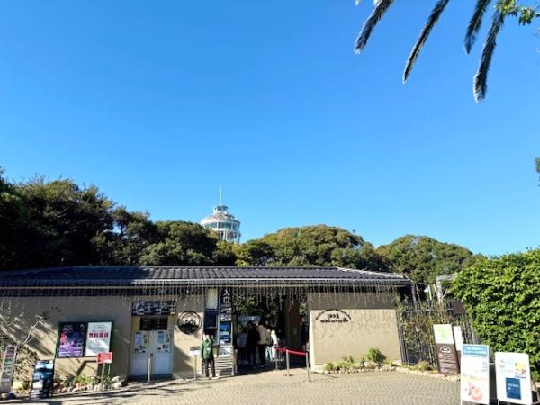 江の島民泊＆カフェレストラン