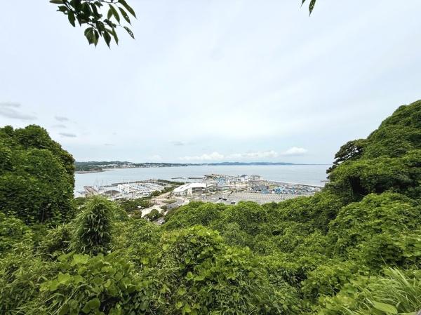 江の島民泊＆カフェレストラン