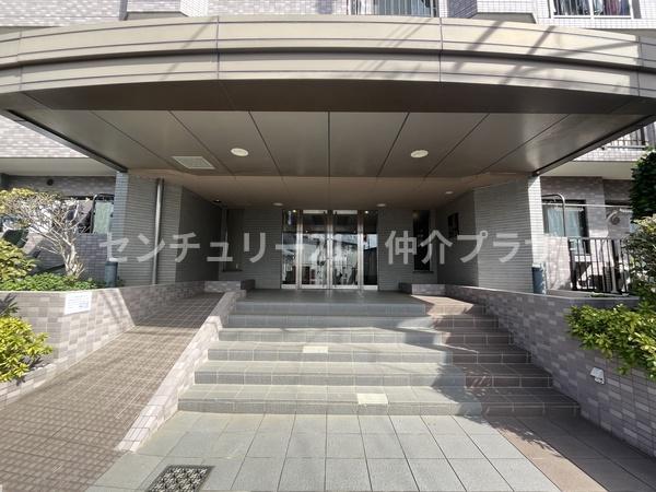 シーダム藤沢善行