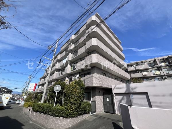 シーダム藤沢善行