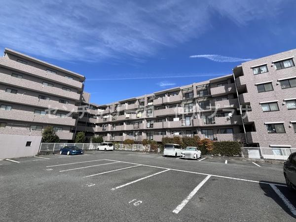 シーダム藤沢善行