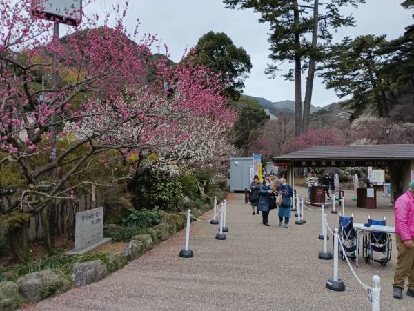タオコート熱海(熱海梅園)