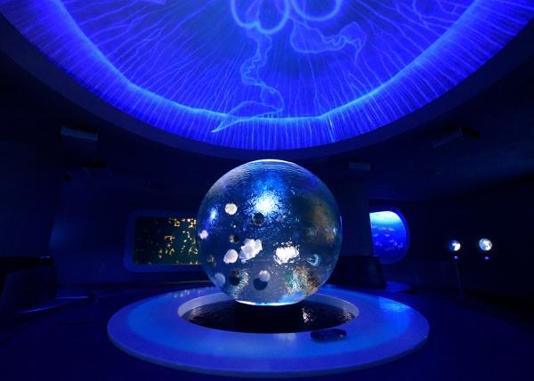 藤沢市鵠沼松が岡1丁目の中古一戸建て(新江ノ島水族館)