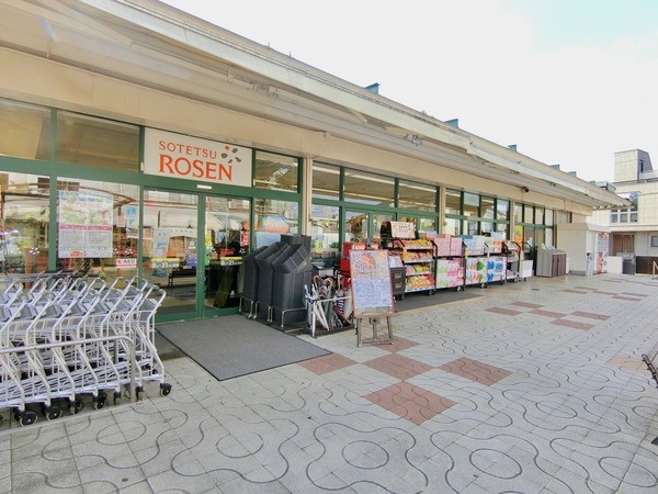 綾瀬市綾西新築戸建全2棟1号棟(そうてつローゼン国分寺台店)